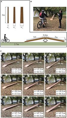 Perceived risk for falls and decision-making in riding raised ramps in mountain biking: a pilot study